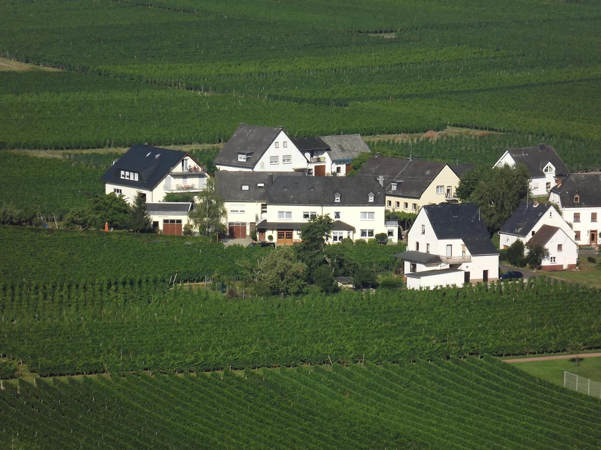 Ferienweingut Winnebeck Köwerich Værelse billede
