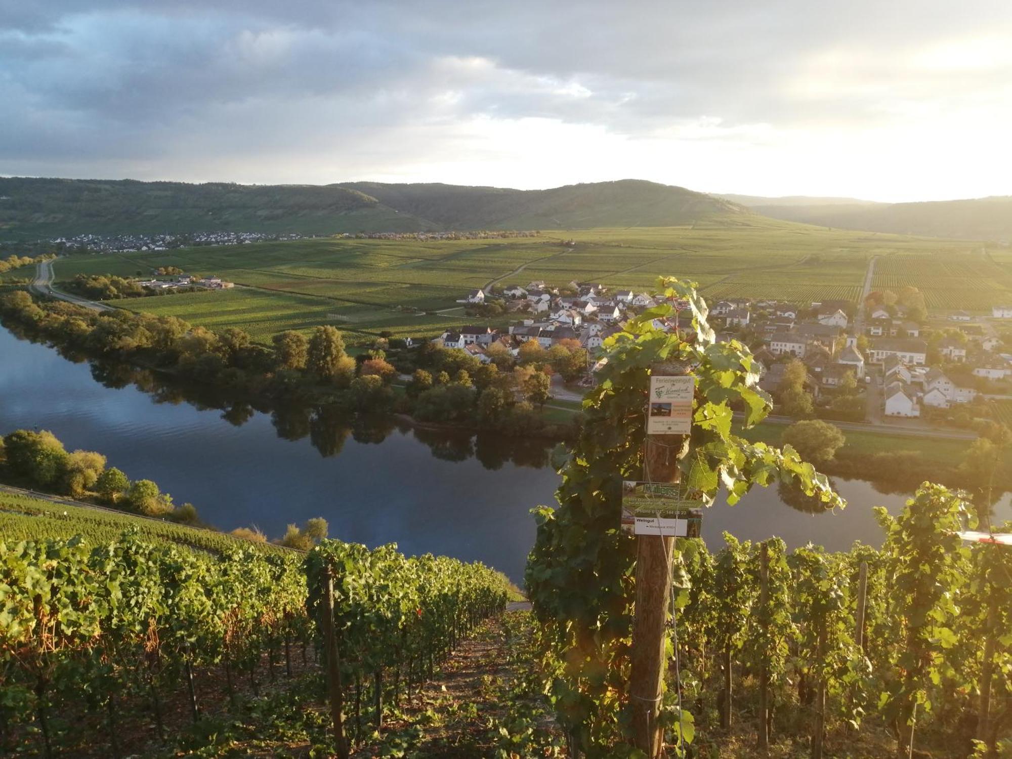 Ferienweingut Winnebeck Köwerich Eksteriør billede